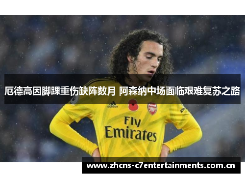 厄德高因脚踝重伤缺阵数月 阿森纳中场面临艰难复苏之路 厄德高因脚踝重伤缺阵数月 阿森纳中场面临艰难复苏之路