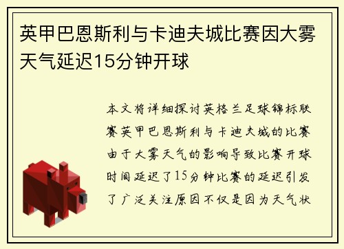 英甲巴恩斯利与卡迪夫城比赛因大雾天气延迟15分钟开球 英甲巴恩斯利与卡迪夫城比赛因大雾天气延迟15分钟开球